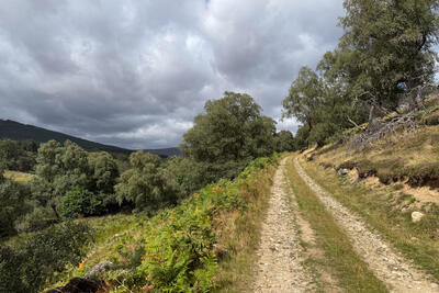 Walk photo