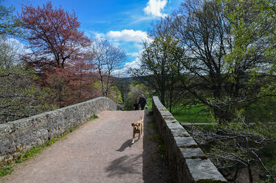 Walk photo