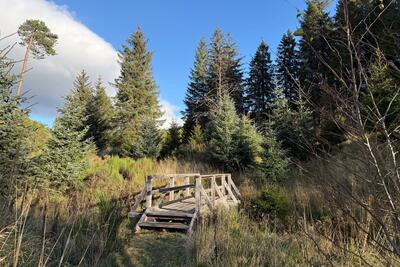 Walk photo