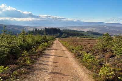 Walk photo