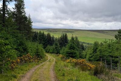Walk photo