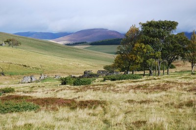 Walk photo