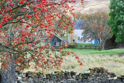 Walk photo