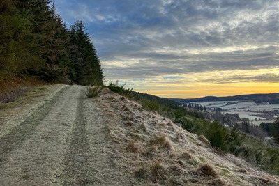 Walk photo