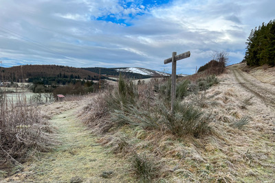 Walk photo