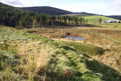 Walk photo