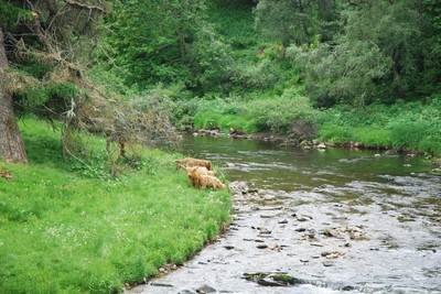 Walk photo