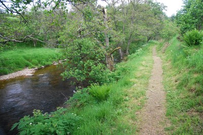Walk photo