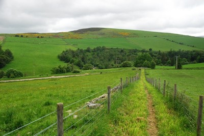 Walk photo