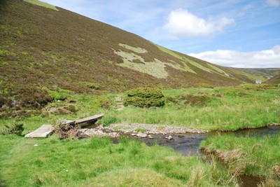 Walk photo