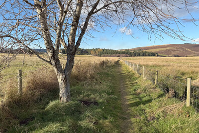 Walk photo