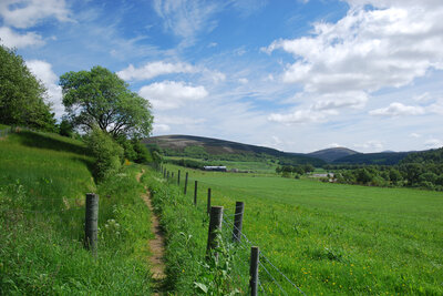 Walk photo