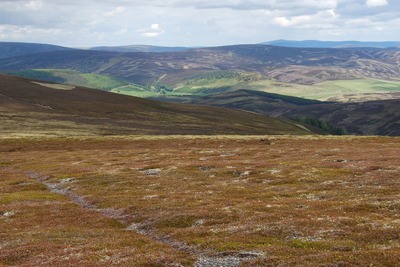 Walk photo