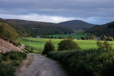 Walk photo