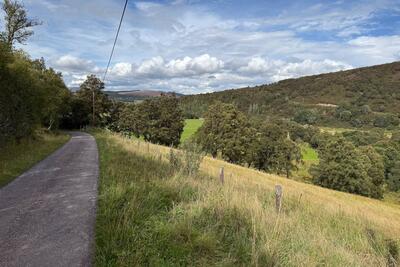 Walk photo