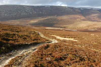 Walk photo