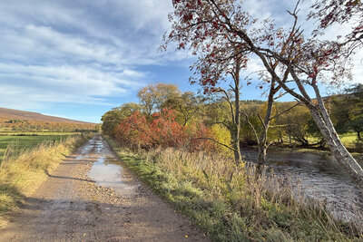 Walk photo