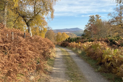 Walk photo