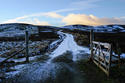 Walk photo