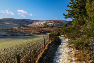 Walk photo