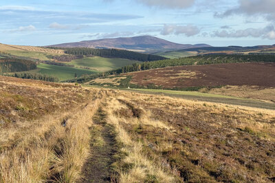Walk photo