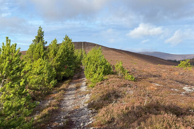 Walk photo