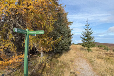 Walk photo
