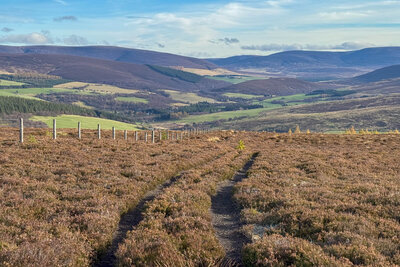 Walk photo