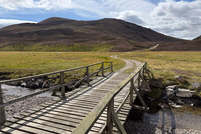 Walk photo