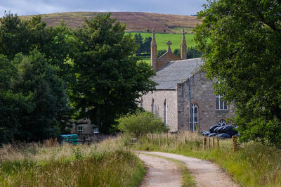 Walk photo
