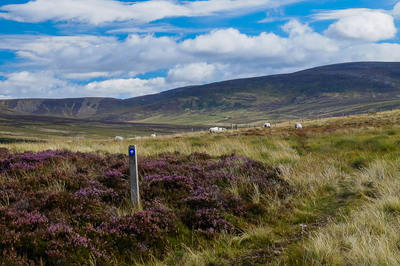 Walk photo
