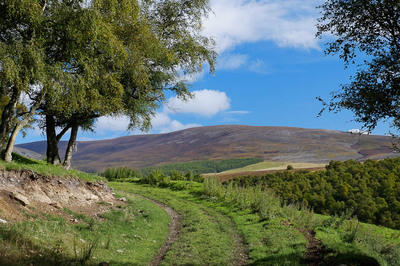 Walk photo