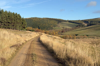 Walk photo