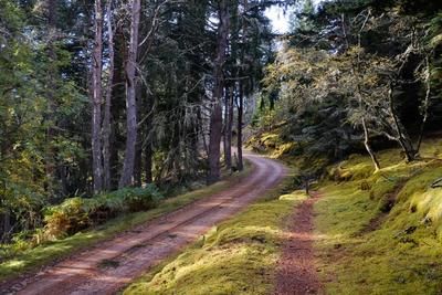 Walk photo