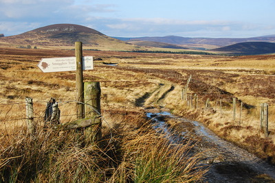 Walk photo