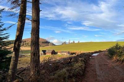 Walk photo