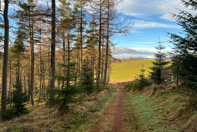 Walk photo