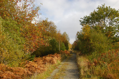 Walk photo