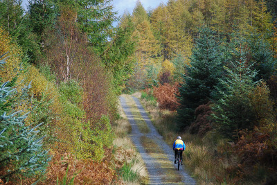 Walk photo