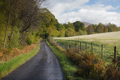 Walk photo
