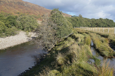 Walk photo