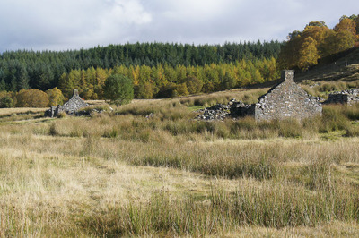 Walk photo