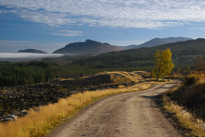 Walk photo