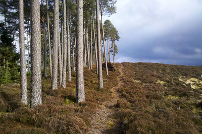 Walk photo