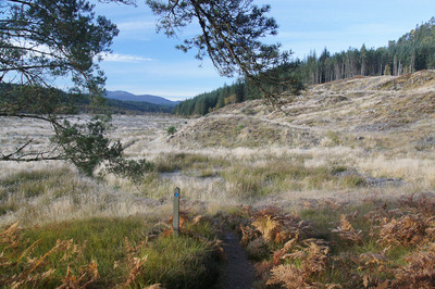 Walk photo