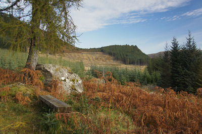 Walk photo