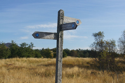 Walk photo
