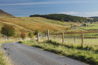 Walk photo
