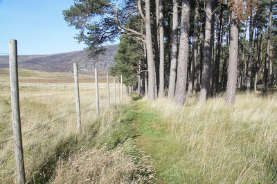 Walk photo