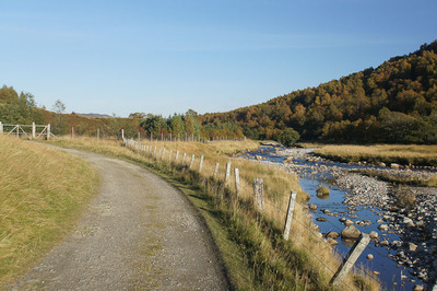 Walk photo